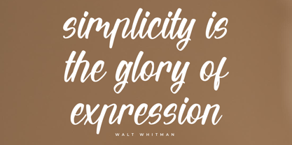 Wintter Bronks Font Poster 6