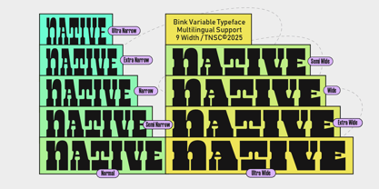 TNSC Bink Font Poster 4