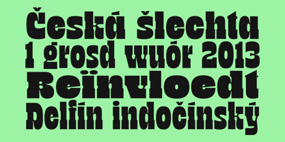 TNSC Bink Font Poster 6