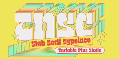 TNSC Bink Font Poster 8