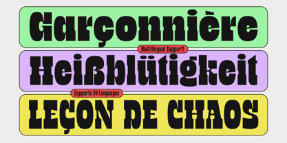 TNSC Bink Font Poster 10