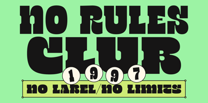 TNSC Bink Font Poster 12
