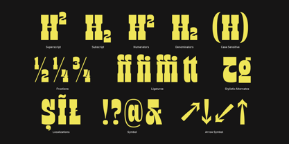 TNSC Bink Font Poster 13