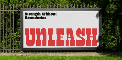 TNSC Bink Font Poster 14