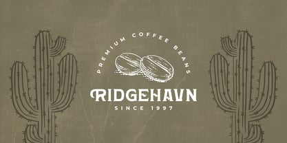 Hardan Vintage Font Poster 7