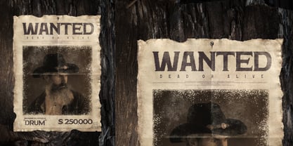 Hardan Vintage Font Poster 11