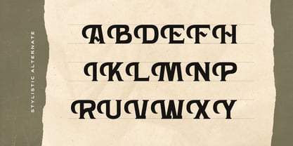 Hardan Vintage Font Poster 12