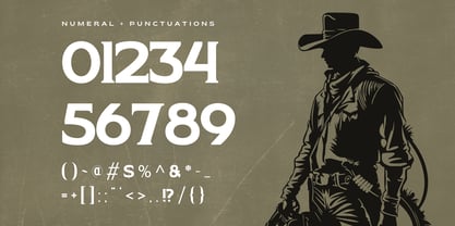 Hardan Vintage Font Poster 14