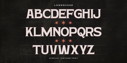 Hardan Vintage Font Poster 15