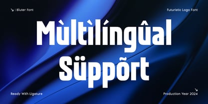 Bluter Font Poster 12