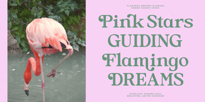 Heritale Aubrey Font Poster 6