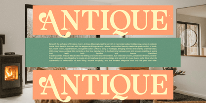 Heritale Aubrey Font Poster 11