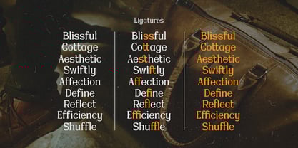 Miss Testa Font Poster 7