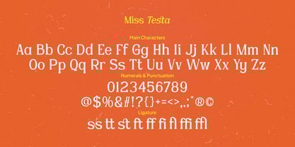 Miss Testa Font Poster 6