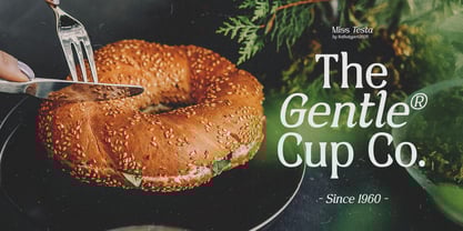 Miss Testa Font Poster 5