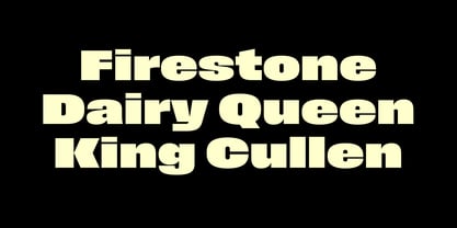 Field Gothic Wide Font Poster 5