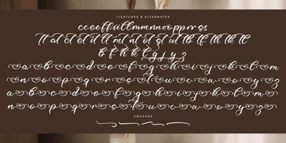 Richard Blooksy Font Poster 8