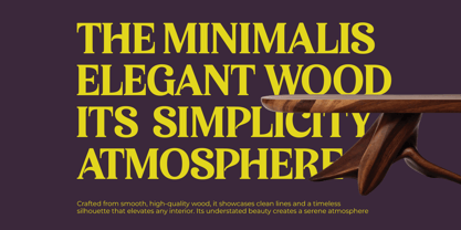 Bikers Font Poster 11