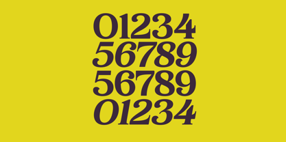 Bikers Font Poster 10