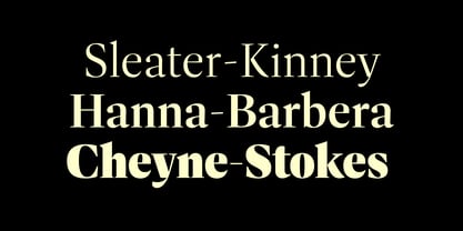 Dashiell Fine Font Poster 8