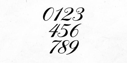 Philanthropy Font Poster 14