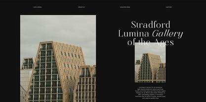 Finico Font Poster 6