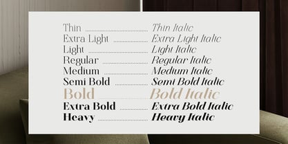 Finico Font Poster 2