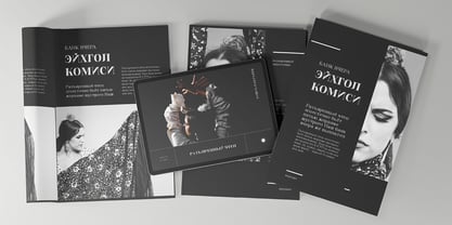 Finico Font Poster 5