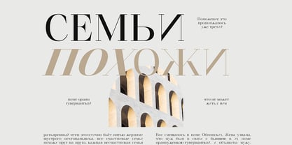 Finico Font Poster 11