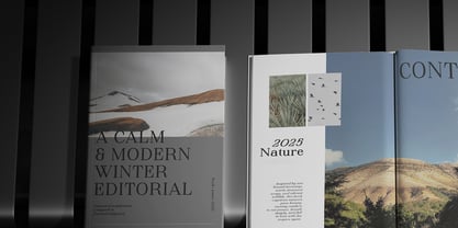 Finico Font Poster 8