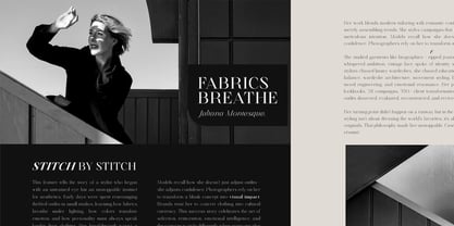 Finico Font Poster 7