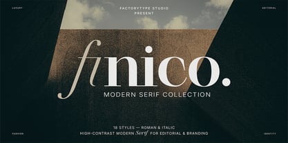 Finico Font Poster 1