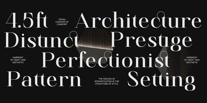 Finico Font Poster 10