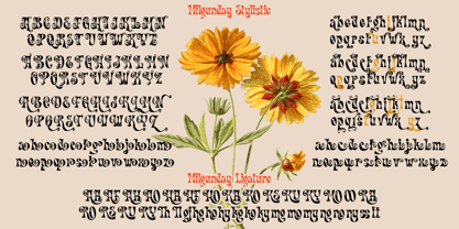 Milgunday Font Poster 10