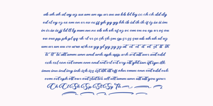 Palmeria Rooted Font Poster 13