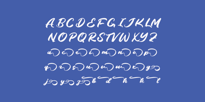 Palmeria Rooted Font Poster 10