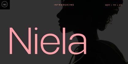 Niela Display Font Poster 1