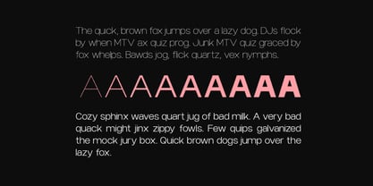 Niela Display Font Poster 7