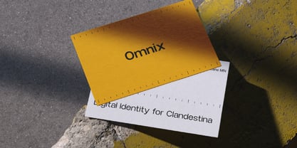 Niela Display Font Poster 2