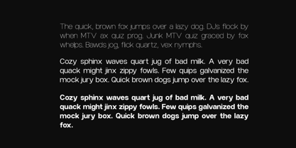 Niela Display Font Poster 8