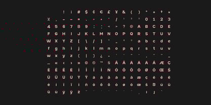 Niela Display Font Poster 4