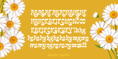 Balegita Font Poster 10