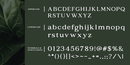 Aragusha Font Poster 2