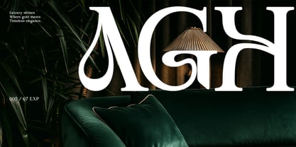 Aragusha Font Poster 5