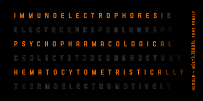 Hurdle Font Poster 9