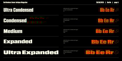 Serifenlose Linear Antiqua Font Poster 5