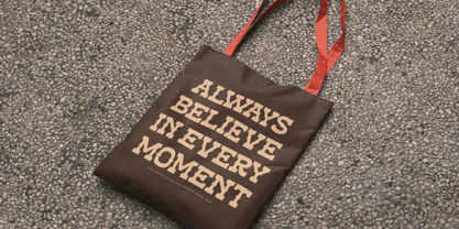 Alchemy Rustic Font Poster 2