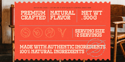 Alchemy Rustic Font Poster 4