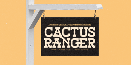 Alchemy Rustic Font Poster 11