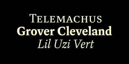 Dashiell Text Font Poster 10